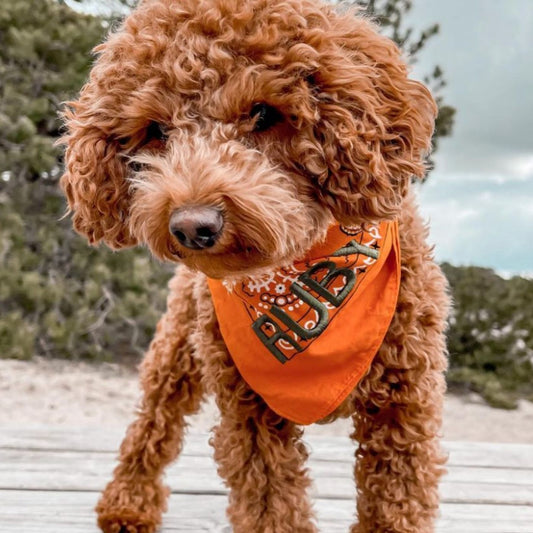 Bandana voor jouw huisdier