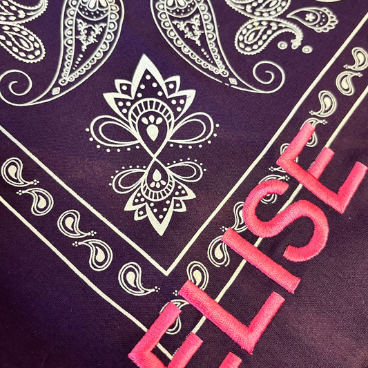 Let's personalize! Purple with pink letter