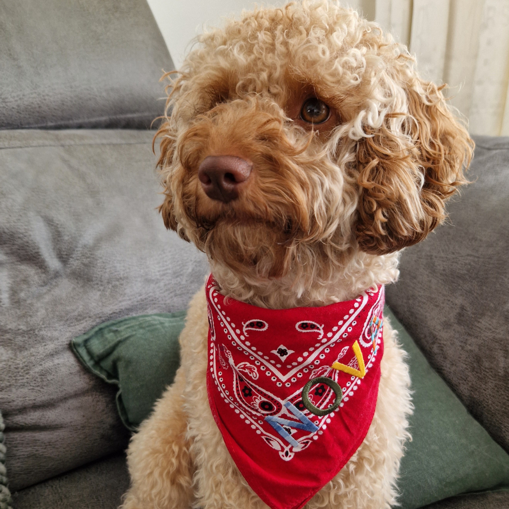 Let's personalize! Red bandana with multi yarn combination